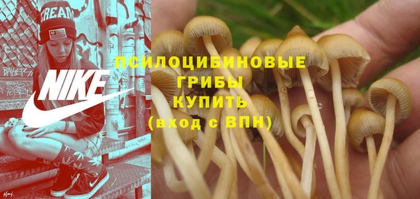 PSILOCYBIN Белоозёрский